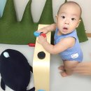 도진컴퍼니 네이버블로그