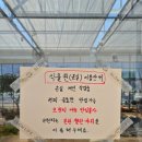 화분속야생화 농원 이미지