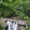 양지-3306 이미지