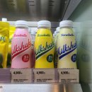 올리브영 대전우송대점 | 단백질 쉐이크 추천 베어벨스 먹어본 후기 #내돈내먹 #올리브영