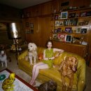 FAMILY DOG 이미지
