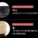 장뷰티