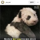 어서 빨리 지나가줘 여름아