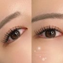 뷰티데이지