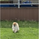 놀다가개유치원 네이버블로그