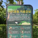 까치공원 맞은편 이미지