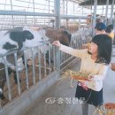 목장 이미지