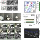 한국공학대학교 AI융합탄소중립전문대학 이미지