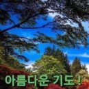 행복한시간을나누는사람들 이미지