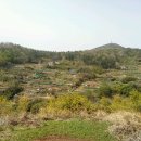 (주)요아스 이미지