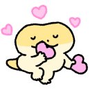 파충류샵 스마일게코 이미지