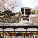 NR-34[거산3거리길]-하-2 | 3박4일 일본 마쓰야마여행 코스 일정 (뚜벅이여행 정리편)