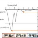 근적외선이란? 이미지