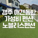 노블레스팬션 - 예산군 남은들로 68 | 경주 애견동반 가성비 펜션 개별바베큐 노블리스펜션