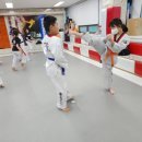 늘품태권도장 이미지