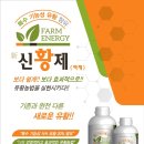 신황제 이미지