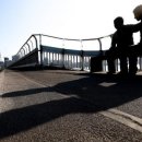 마음트는 그림책 질문수업 이미지