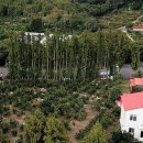 동산위의 교회 이미지