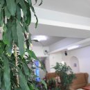 부평역사(주)