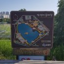[수원 여행] 수원 북쪽의 아름다운 호수, 만석거(만석공원) 걸어보기! 영화정, 여의루 등 구경~