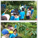 동탄푸른어린이집 이미지