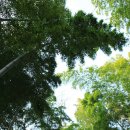 관포IC입구 이미지