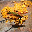 수원-0238 이미지