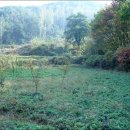 내곡농장 이미지