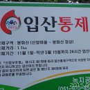산양보건지소 네이버블로그