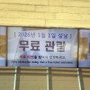 수원시립미술관 | 수원시립미술관 방문 후기 네가 4시에 온다면 관람 정보