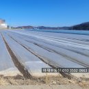 고령군쌍림면보건지소 | [고령군 쌍림면 땅 매매] 850평 계획관리지역 대구근교 투자용