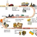 (주)유탑신관 | 제주 동쪽 혼자 여행코스 맛집부터 카페 술집 숙소 마사지까지