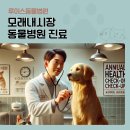 모래내동물병원 이미지