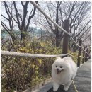 서초유치원 이미지