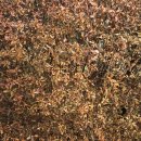 한복의 전통과 현재를 한눈에 확인하세요