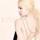 심플마인드 이미지
