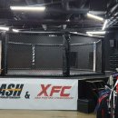 주짓수 복싱 이미지