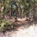 동광리-12 이미지