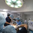 서울시야생동물센터 이미지