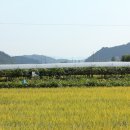 돌마농장 이미지