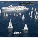 산양일주도로가로수 이미지