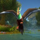 주식회사 신비로운숲 이미지