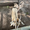 해바라기캠핑장 이미지