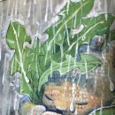 강아지 똥 이미지