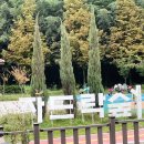 언양알프스시장 | 울산 울주군 언양알프스시장 청기와곰탕 내돈내산 후기