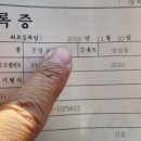 아남모터스 이미지