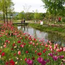 눈부신하루 - 화성시 31만세로 47 | 눈부신하루