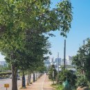 이목리 제방 이미지