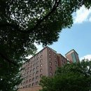 노원로(남측) 이미지