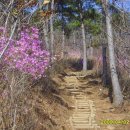 각산등산로 이미지